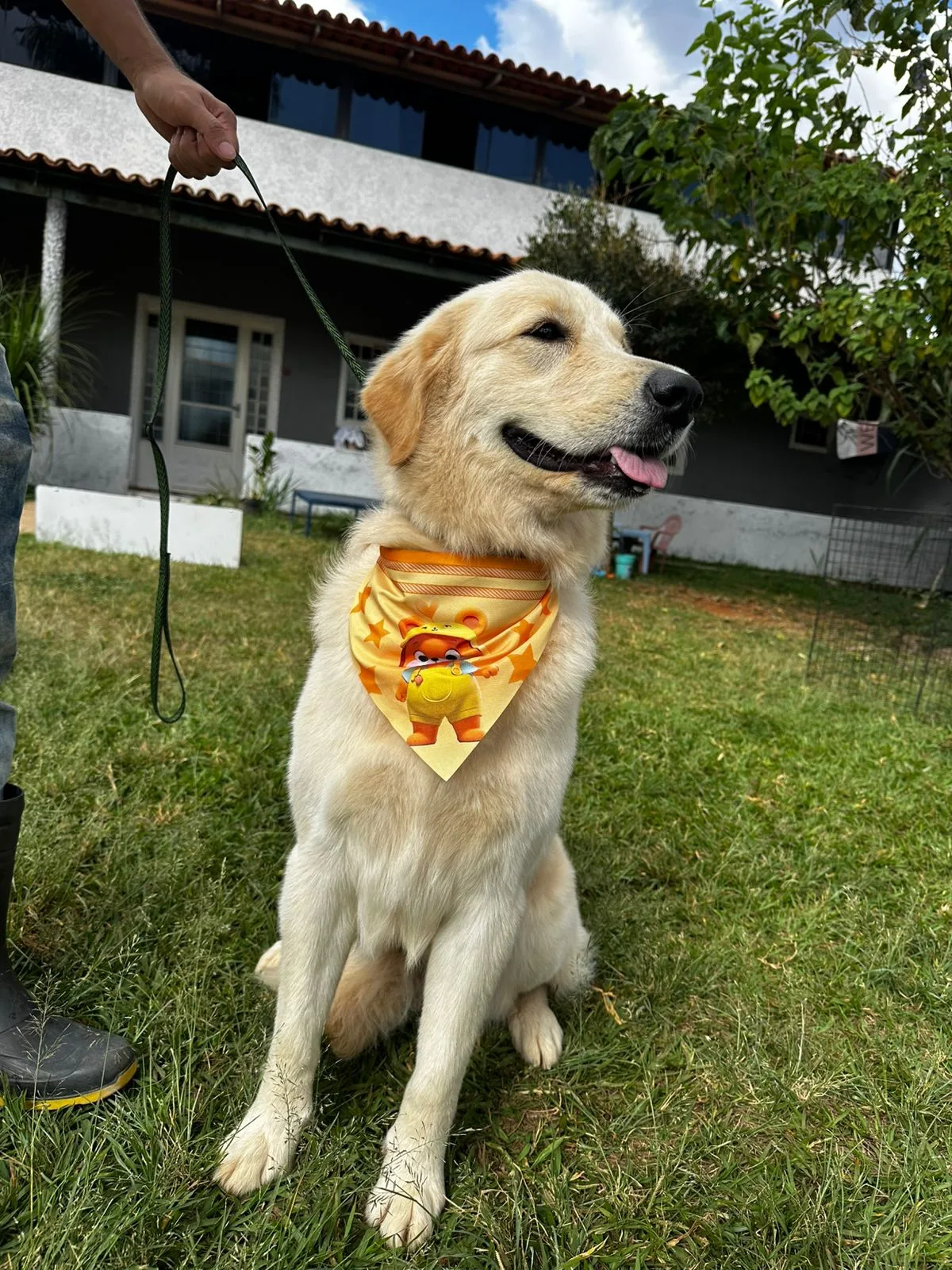 Banho e tosa profissional na Puppyville